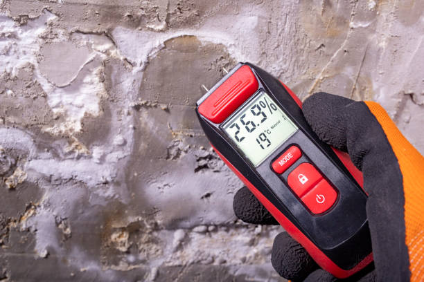Best Residential Mold Removal  in Union City, GA