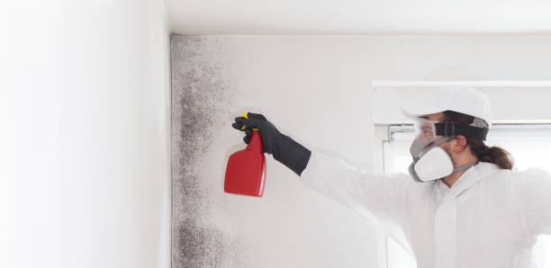 Mold Removal and Inspection in Union City, GA