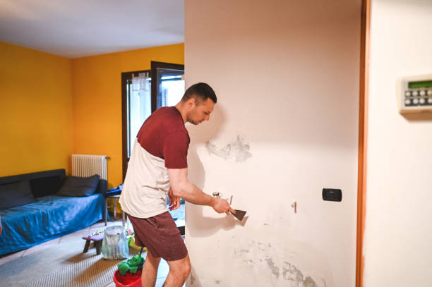 Best Office Mold Removal Services  in Union City, GA
